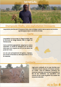 Fiche de capitalisation de l'initiative agroécologique de D. Diallo à Koussanar, 2021