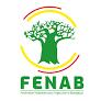Logo FENAB