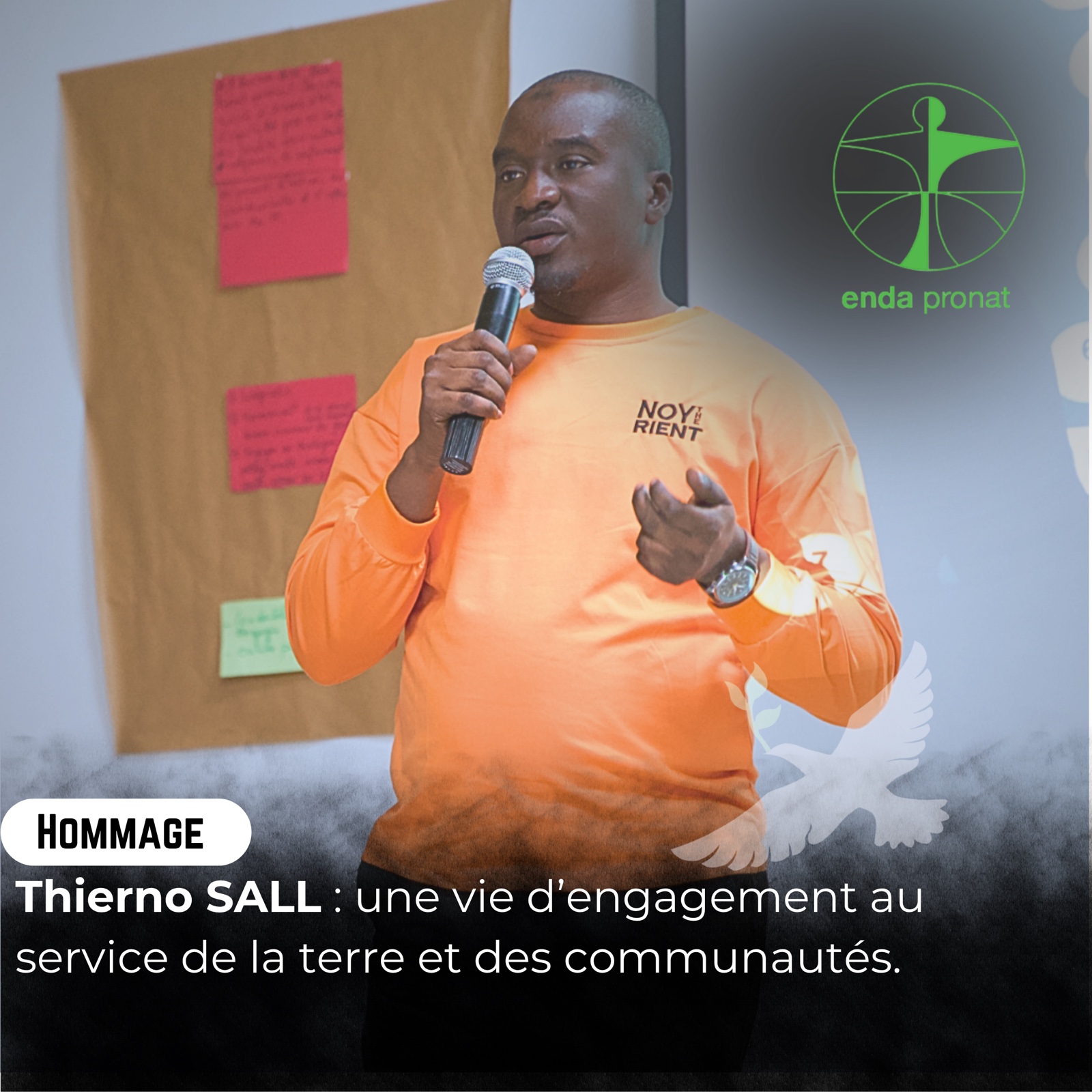 𝐇𝐨𝐦𝐦𝐚𝐠𝐞 𝐚̀ 𝐓𝐡𝐢𝐞𝐫𝐧𝐨 𝐒𝐀𝐋𝐋