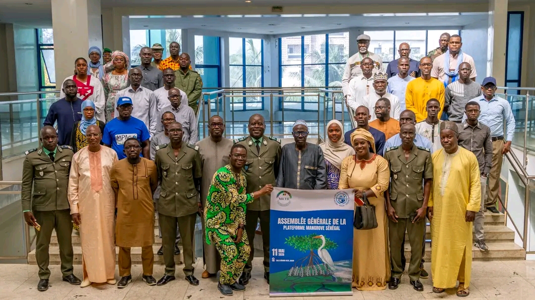 Enda Pronat à la 1ère Assemblée générale de la Plateforme Mangrove Sénégal
