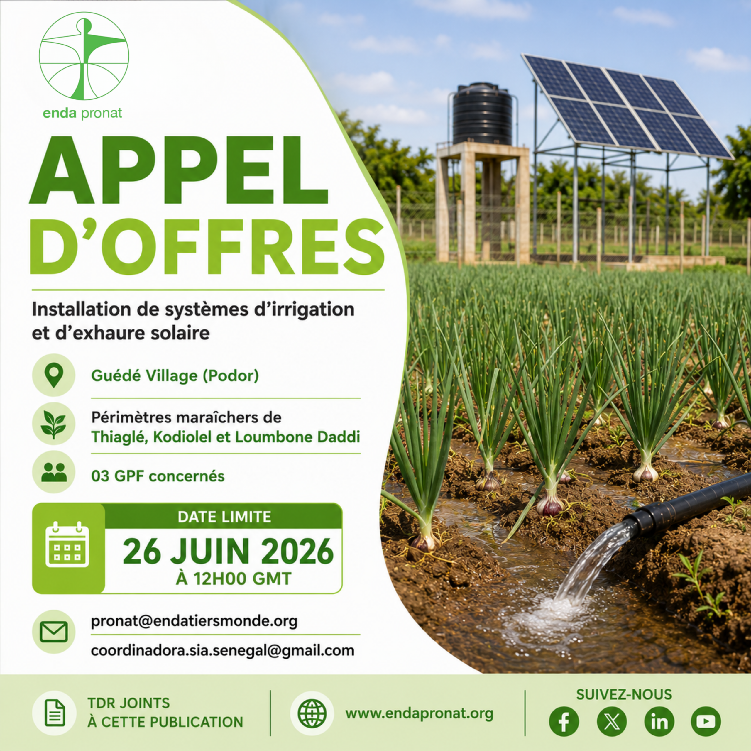 APPEL D'OFFRES