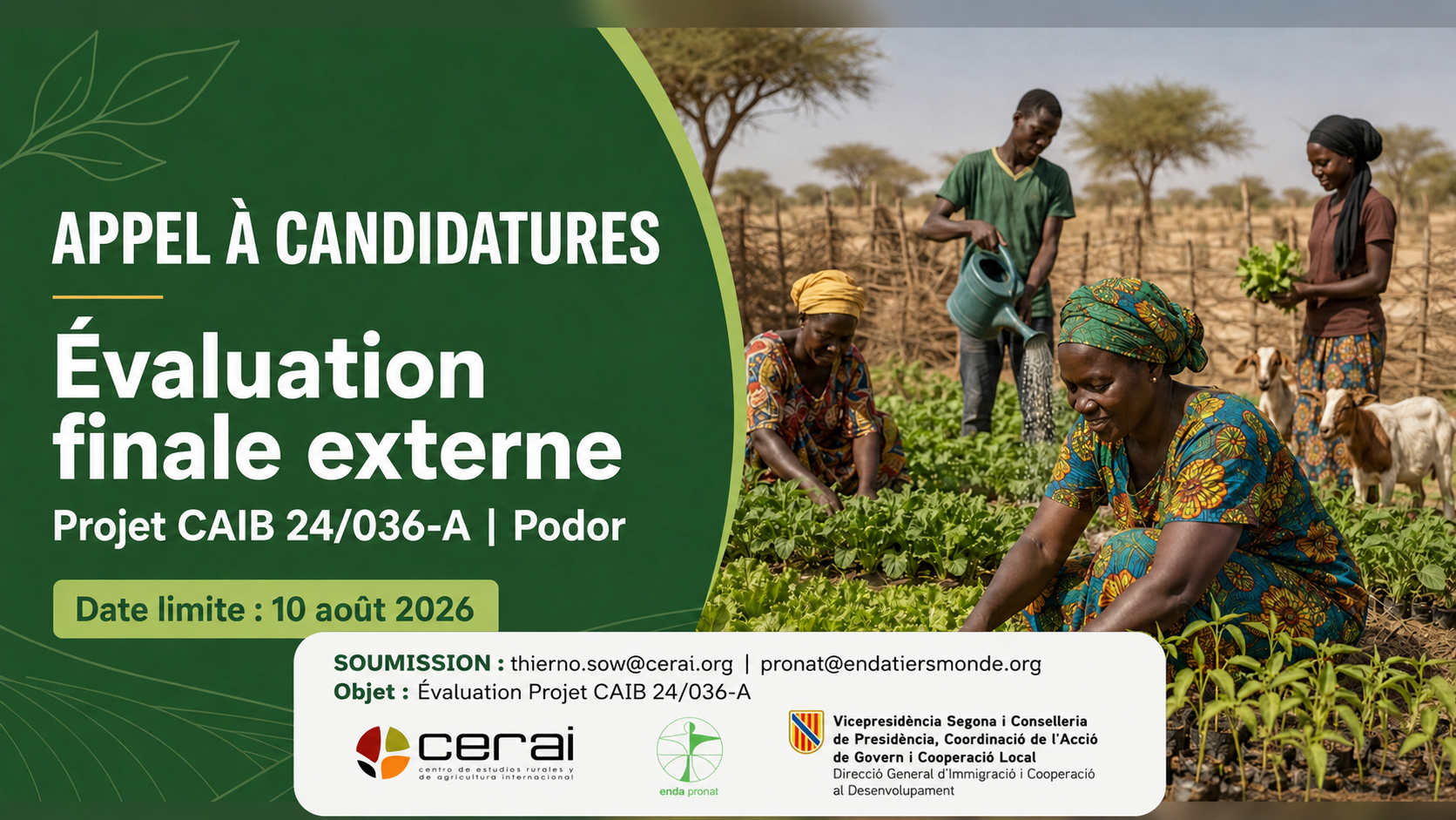 Appel à candidatures : évaluation finale externe à Podor