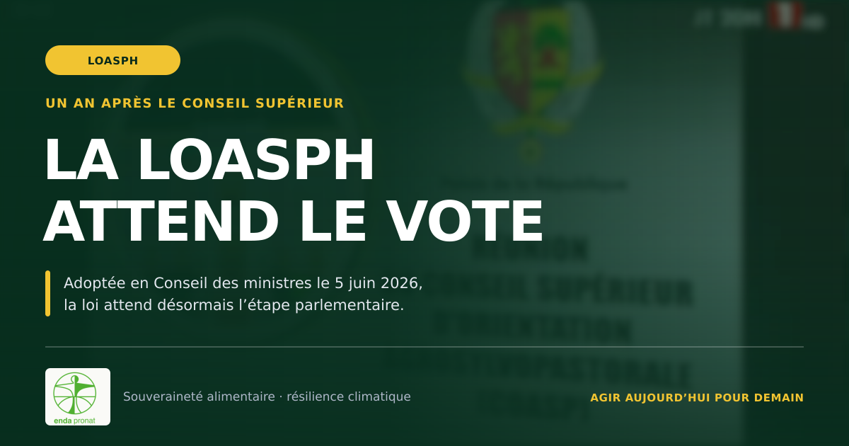 LOASPH : UN AN APRÈS LE CONSEIL SUPÉRIEUR, L’URGENCE DE PASSER AU VOTE.