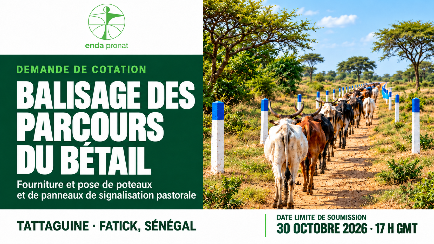 BALISAGE DU PARCOURS PASTORAL À TATTAGUINE : APPEL À COTATION